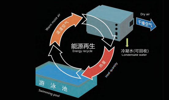 室內(nèi)泳池，室內(nèi)恒溫泳池，室內(nèi)泳池除濕